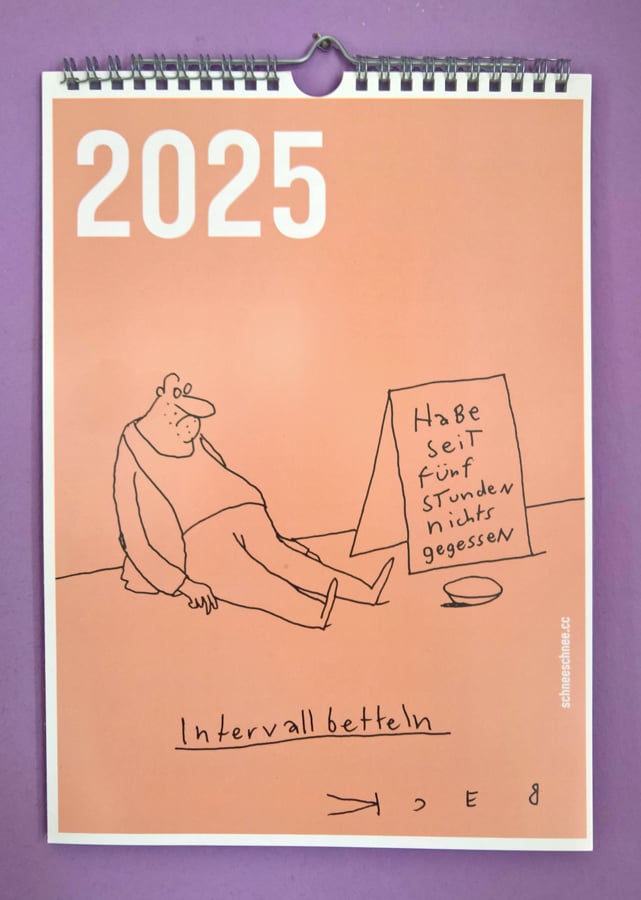 Image of 2025 Cartoon-Kalender SE