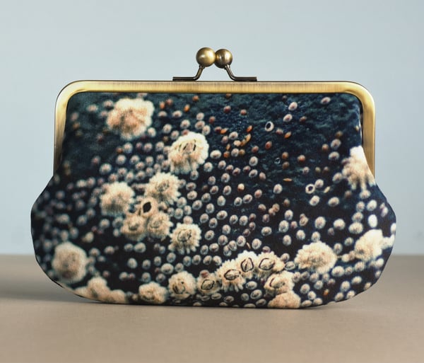 Image of Barnacles, velvet kisslock shoulder bag with crossbody strap + plant-dyed lining