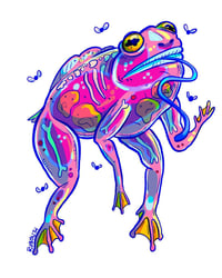 Transparent Frog