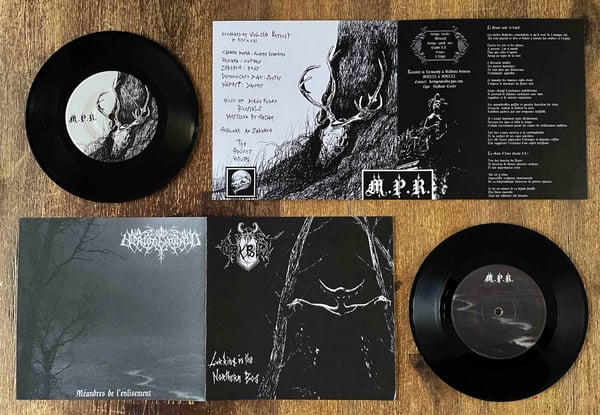 Image of ORKBLUT / HERTOGENWALD Split 7"