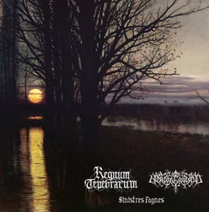 Image of REGNUM TENEBRARUM / HERTOGENWALD Sinistres Fagnes split LP