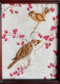 Image 3 of Little Wrens - more photos available on Instagram @chestnutstitchery*