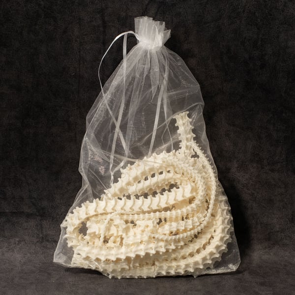 Image of Bag Of Snake Bones