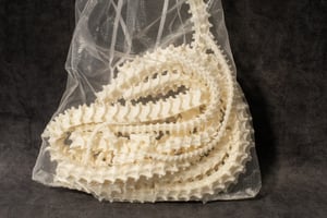 Image of Bag Of Snake Bones