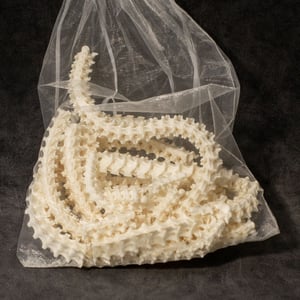 Image of Bag Of Snake Bones