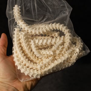 Image of Bag Of Snake Bones