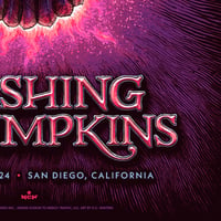 Image 8 of Smashing Pumpkins Gig Poster