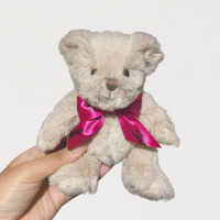 Image 2 of SHOWADDYWADDY SMALL TEDDY BEAR 