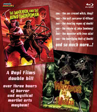 THE WARRIOR AND THE BLIND SWORDSMAN/THE WARRIOR AND THE NINJA double feature - retail edition