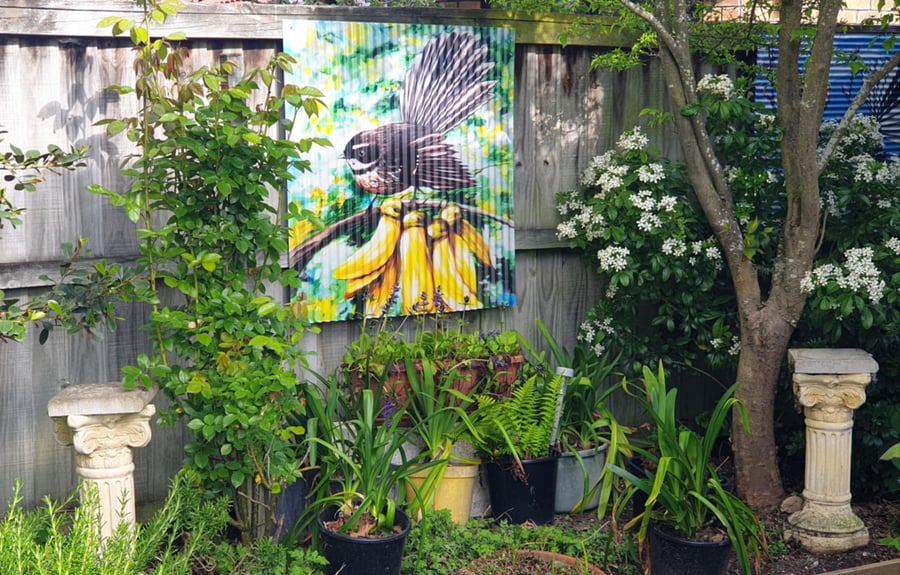 Image of Piwakawaka Fantail in Kowhai