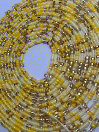 Image 3 of Golden Harvest