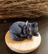 Image 4 of Cat Candles