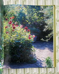 Image 6 of Virginia Woolf's Garden