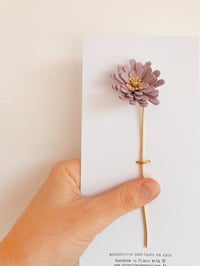 Image 5 of Les aster - fleur de peau à la tige