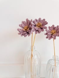 Image 2 of Les aster - fleur de peau à la tige