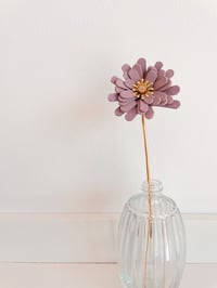 Image 4 of Les aster - fleur de peau à la tige