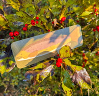 Brown Trout Bookmark