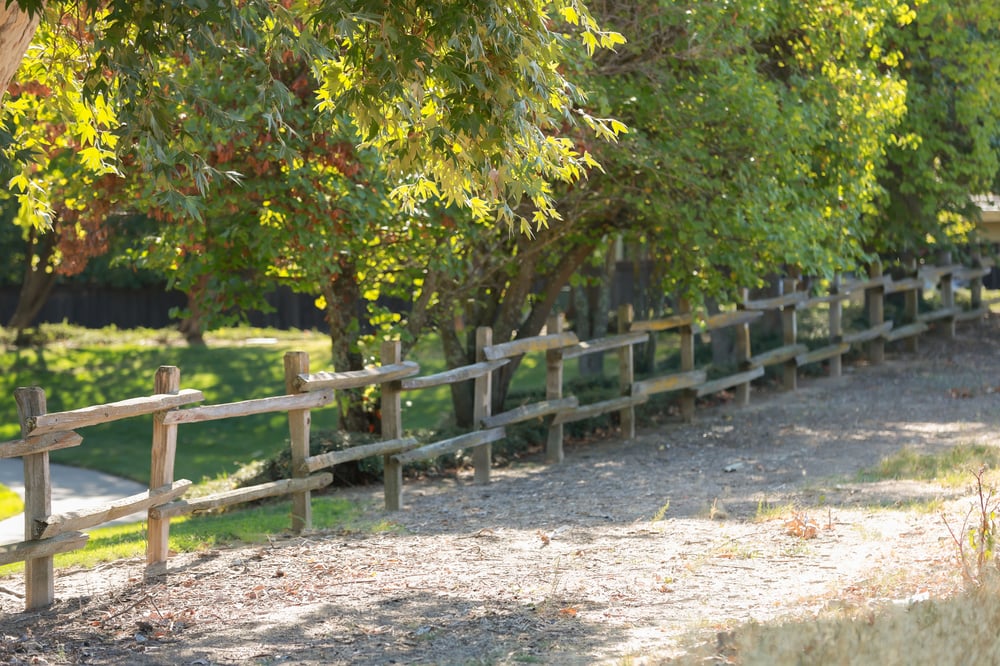 Image of Rocklin Park Mini November 2nd