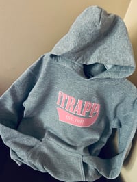 Image 2 of Gray And Pink iTRAPP
