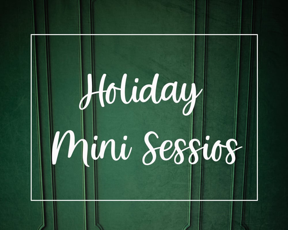 Image of Holiday Mini Sessions 