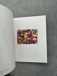 Image 8 of Luigi Ghirri - Luigi Ghirri  (Case Publishing & Taka Ishii Gallery, 2017)