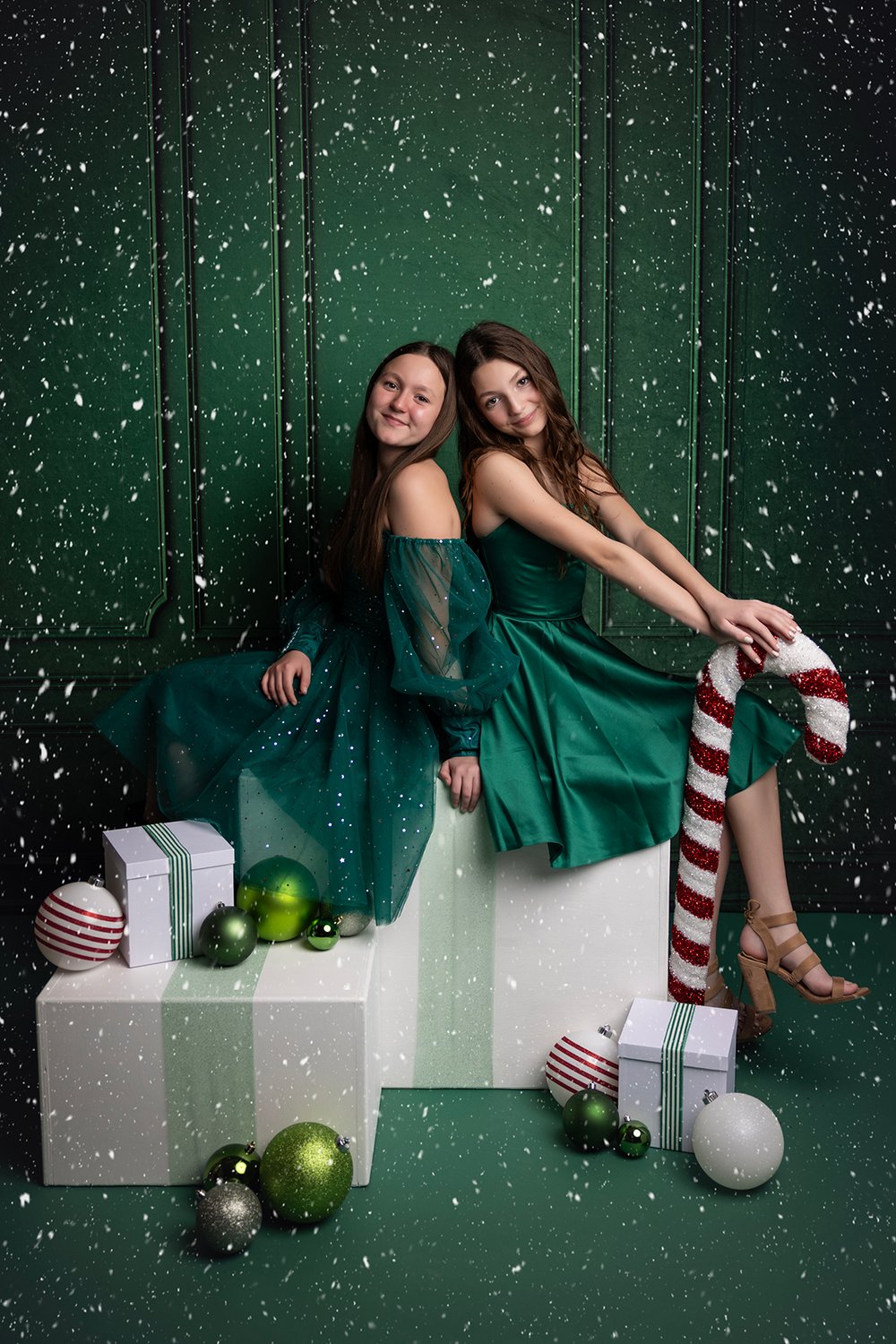 Image of Holiday Mini Sessions 