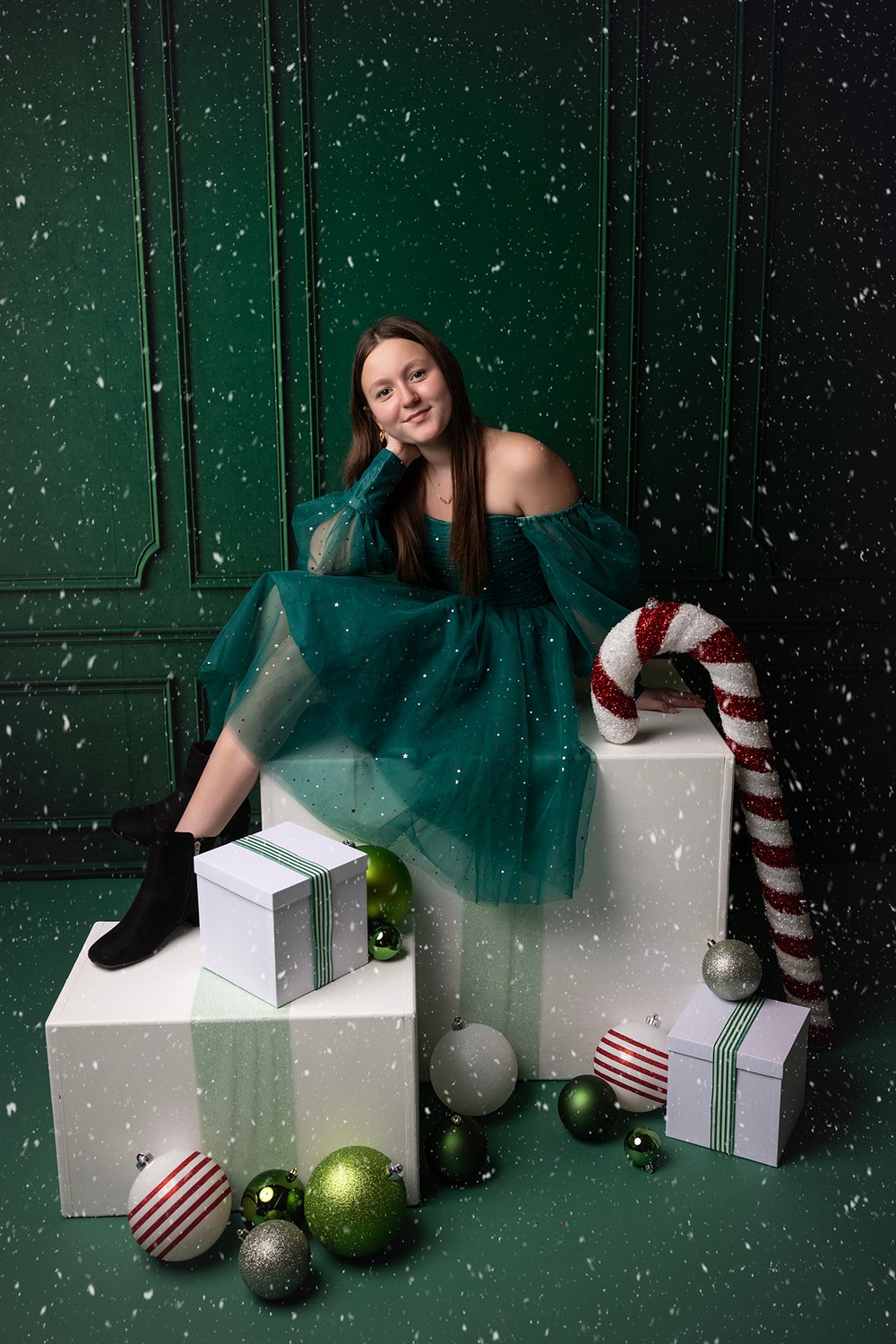 Image of Holiday Mini Sessions 