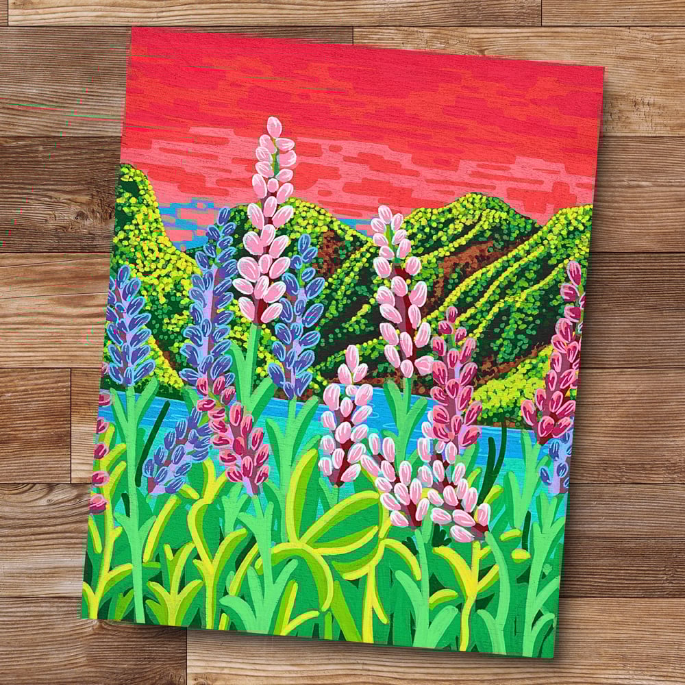 Image of Lupine Meadows