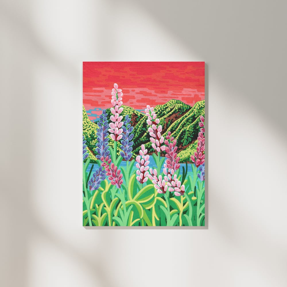 Image of Lupine Meadows