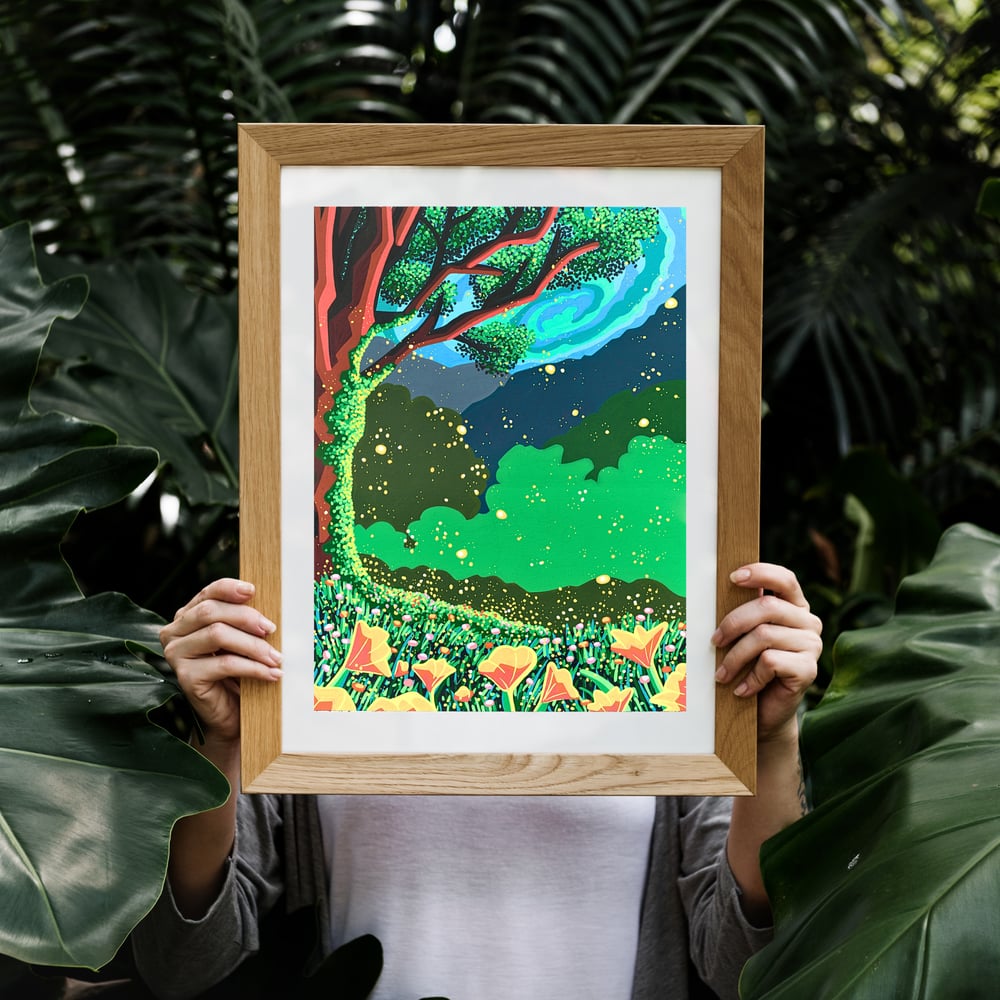 Image of Firefly Family