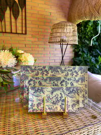 Colección Carmen