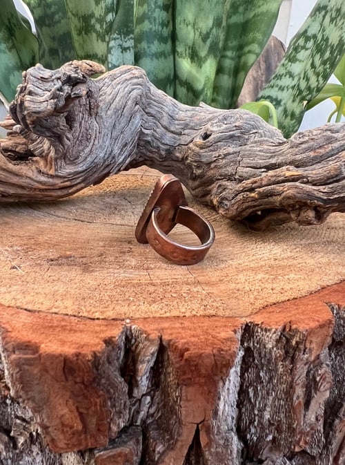 Image of Petoskey Stone Ring