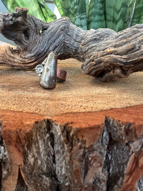 Image of Petoskey Stone Ring