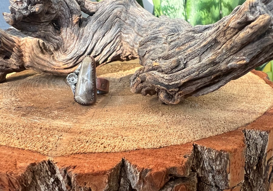Image of Petoskey Stone Ring
