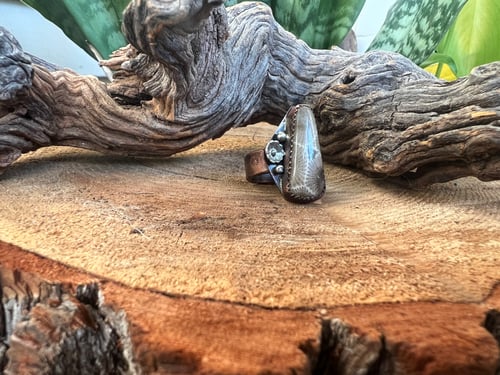 Image of Petoskey Stone Ring