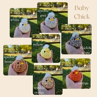 Image 3 of Baby Chick