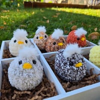 Image 1 of Baby Chick