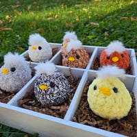 Image 2 of Baby Chick
