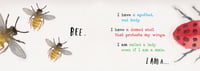 Image 5 of Heads and Tails: Insects