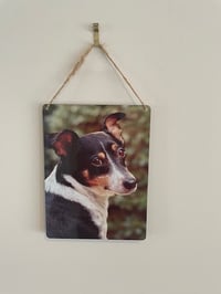 Personalised Pet  Portrait