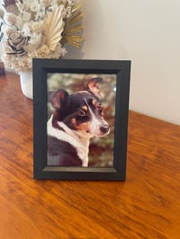 Personalised Pet - Framed Picture (Black)