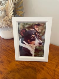 Personalised Pet - Framed Picture (White)