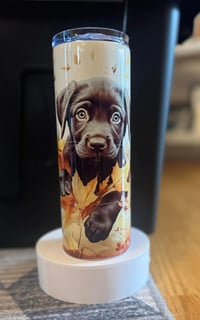 Image 2 of Lab Puppy