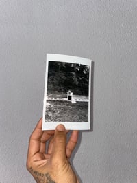 Image 4 of POR SI NO VUELVO