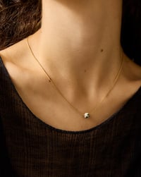 Image 3 of Collar Ivy Dálmata
