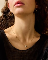 Image 2 of Collar Ivy Dálmata