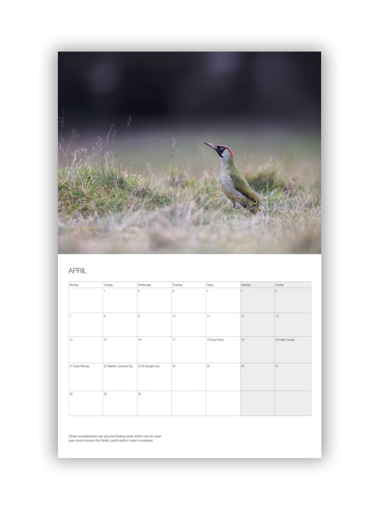 Image of 2025 Hampstead Heath Calendar