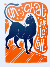 Image 1 of Un chat noir sur le toit