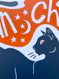 Image 2 of Un chat noir sur le toit