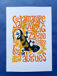 Image 4 of Une salamandre qui zigzague entre les algues